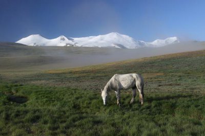 Сакральные территории как хранительницы традиционных ценностей евразийских народов (на примере плоскогорья Укок на Алтае и долины Эрдэнэбурэн в Западной Монголии)