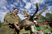 В помощь тувинцам-тоджинцам