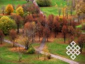 The contrast. Eye-catching withering of the trees against the background of bright green grass in a Moscow park.