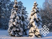 The beauties. Man and nature live in harmony in Novosibirsk academic town.