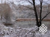 A swamp in early winter. The swamps may look appealing not only in summer Altay but also within winter city limit.