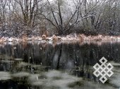 The first snow. I've taken many pictures of this overgrown pond (including pictures from the same spot) but it is always different.