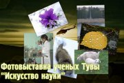 Фотовыставка ученых Тувы "Искусство науки"