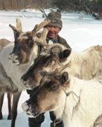 Приглашение в сборник о коренных народах