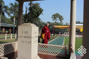 Буддисты всего мира посадили в Индии новое дерево Бодхи