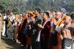 Буддисты всего мира посадили в Индии новое дерево Бодхи