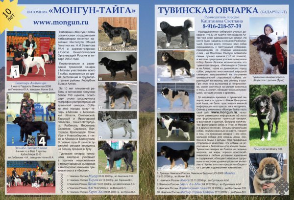 Питомнику тувинских овчарок «Монгун-Тайга» — десять лет!