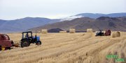 Тувинская земля: признаки выздоровления