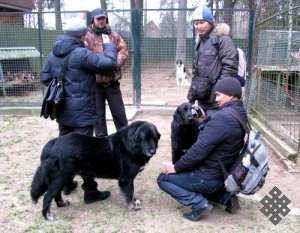 Тувинские студенты впервые увидели тувинских овчарок в Москве