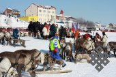 Фотовыставка Юрия Попкова "Олени и люди"