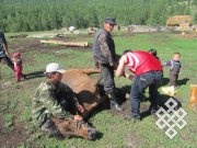 Фотовыставка Жанны Юша “Тувинцы Китая в современном мире”